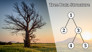 تعلم هيكلة البيانات بواسطة الشجرة Tree